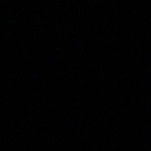 Meet your Posher, Josephine